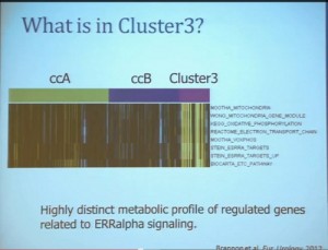 13 What is in Cluster 3